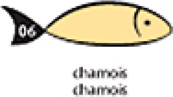 Produktbild Papyrus Briefcouvert - Rainbow (C5, 250x)