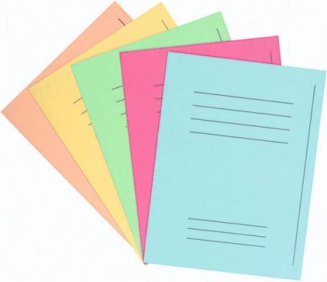 Image du produit Exacompta FOLDYNE 250 - Porte-documents A4 (A4, 50x)