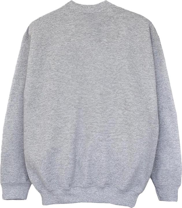 Image du produit Disney Frozen - Sweat - Garçon (104)
