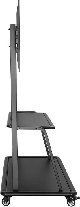 Actual product image Neomounts floor NS-M4000BLACK 60" - 105" (105", 150 kg)