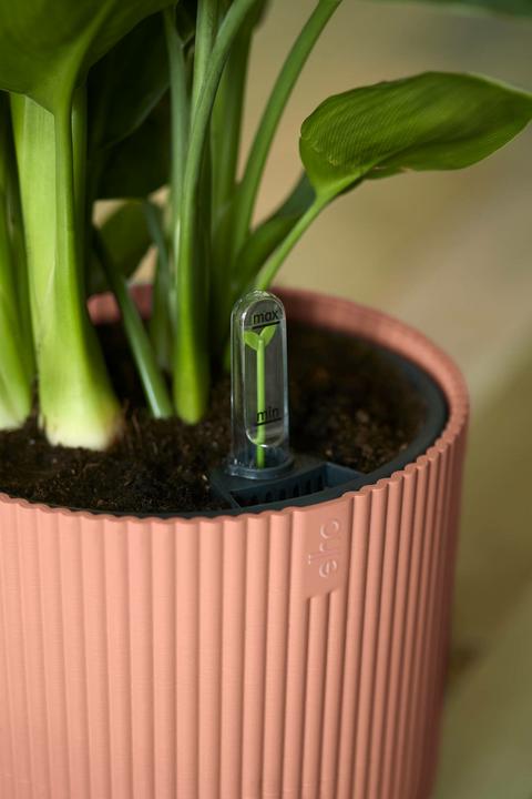 Image du produit Elho Vibes Fold (25 cm)