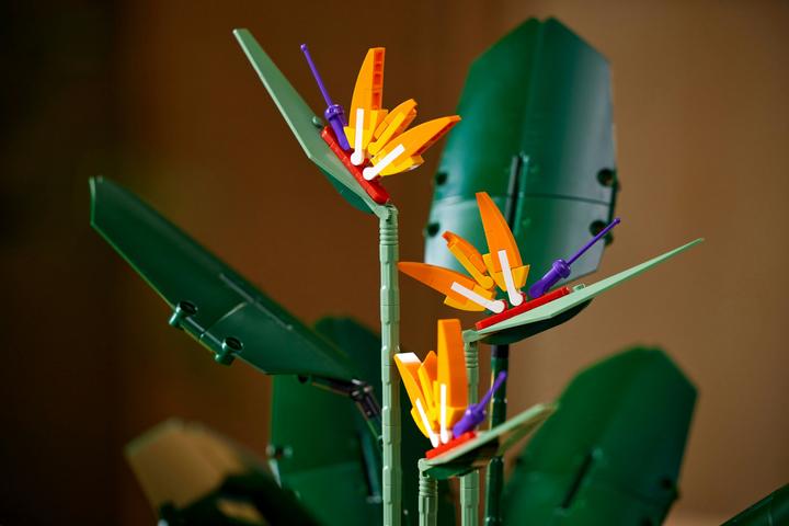 Actual product image LEGO Bird of Paradise (10289, LEGO Rare Sets)