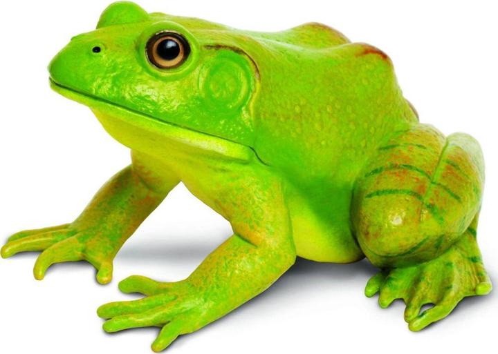 Produktbild Safari Ic Amerikansicher Ochsenfrosch