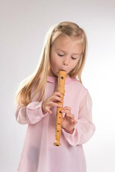 Actual product image Boogie Bee Recorder (German)