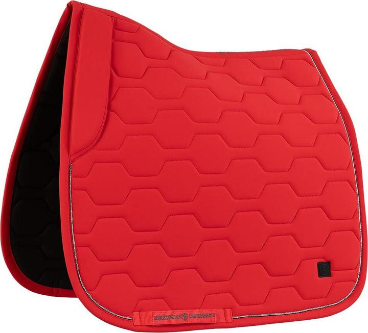 Actual product image BR Equestrian Equipment Jay