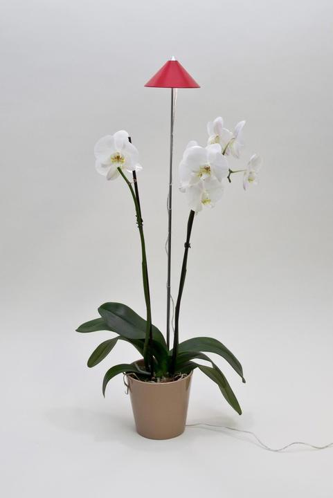 Produktbild Colibri Sunlite (LED, 230 V)