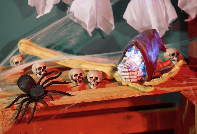 Produktbild MICA Festival Spinne - 16 cm (1 Stk.)