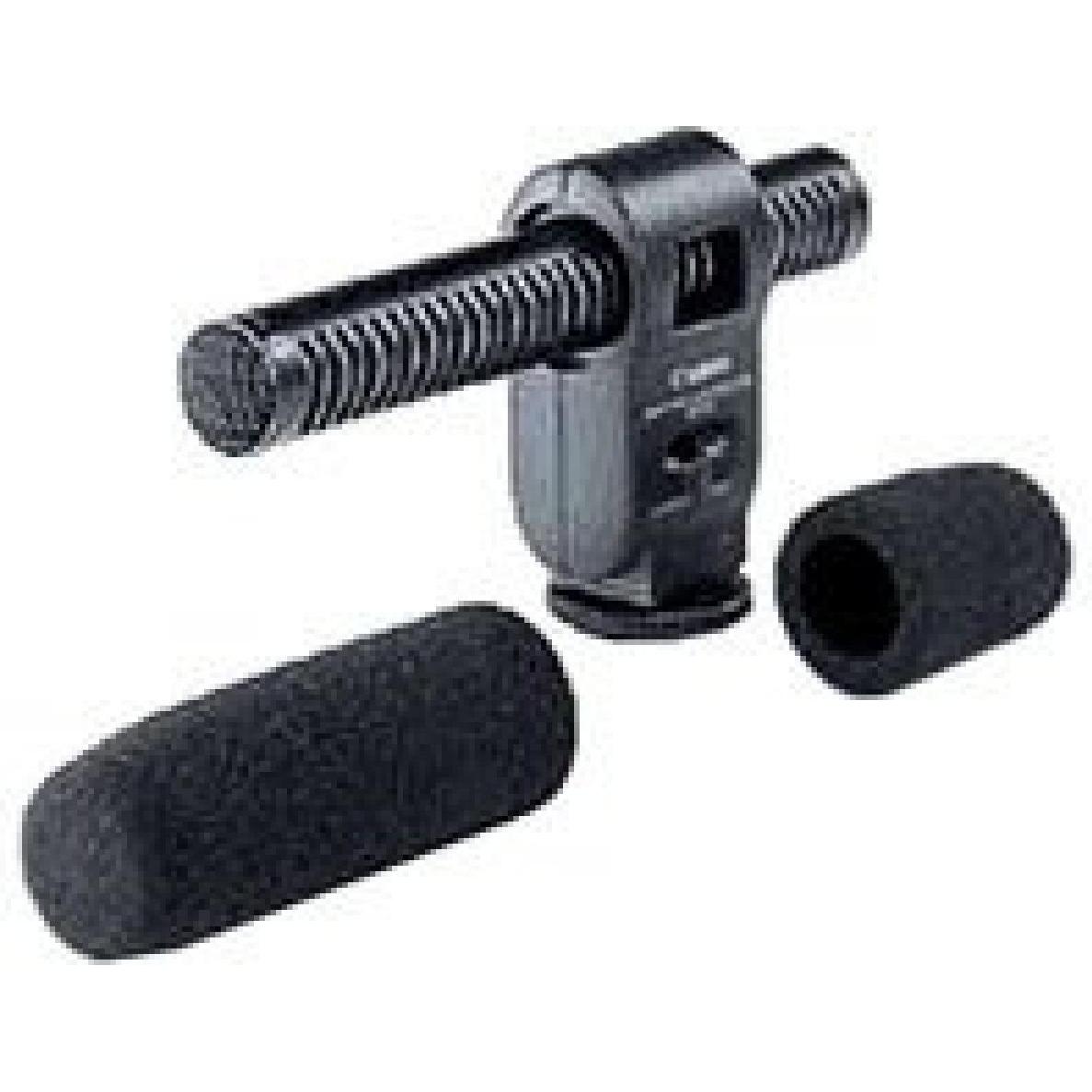 Canon Chiare Microfono Dm-50, Microfono