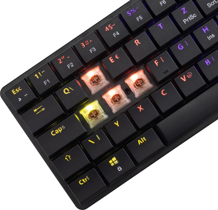 Actual product image White Shark GK-006131 Nagamaki Black-Mechanical / US-Brown.SW (US, Cable)