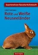 Produktbild Rote und Weisse Neuseeländer