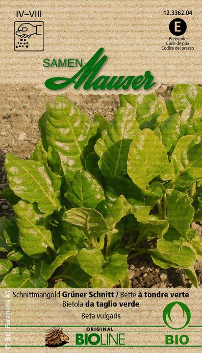 Produktbild Samen Mauser Schnittmangold Grüner Schnitt (Gemüsesamen)