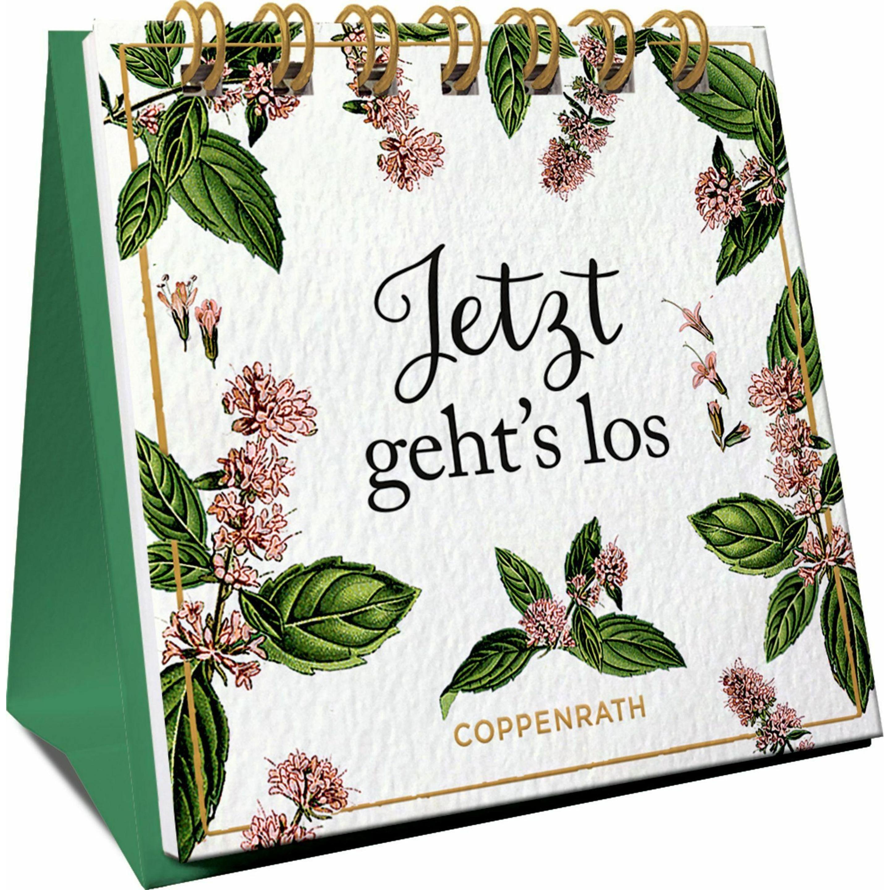 Jetzt geht's los, Belletristik