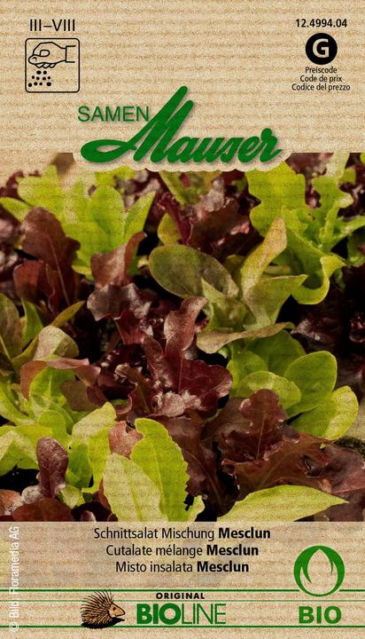 Produktbild Samen Mauser Schnittsalat Mischung Mesclun (Gemüsesamen)
