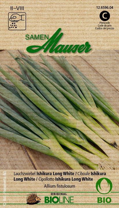 Image du produit Samen Mauser Oignon à poireau Ishikura Long White (Graines de légumes)