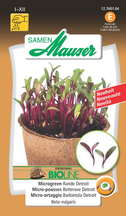 Produktbild Samen Mauser Microgreen Rande Detroit (Gemüsesamen)