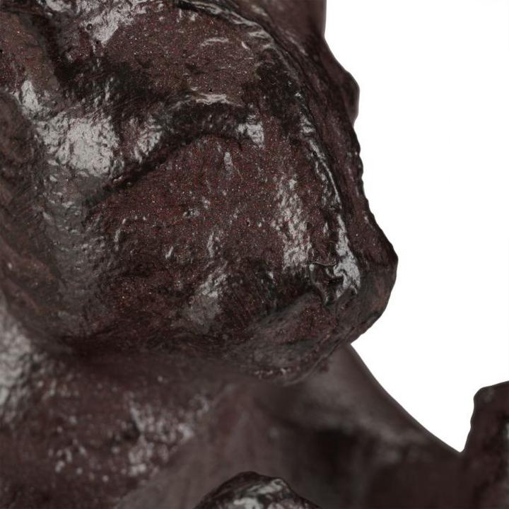 Image du produit Relaxdays Serre-livre animal (14 x 6 x 11 cm)