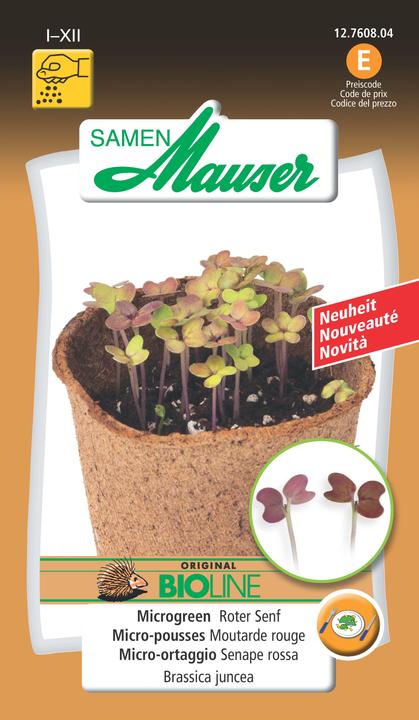 Produktbild Samen Mauser Microgreen Roter Senf (Gemüsesamen)