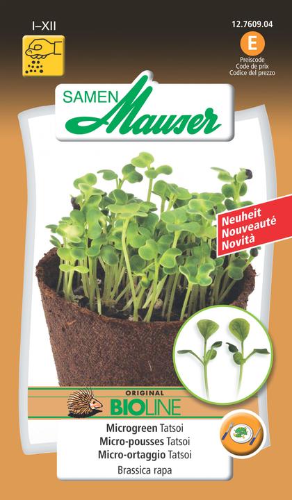 Produktbild Samen Mauser Microgreen Tatsoi (Gemüsesamen)