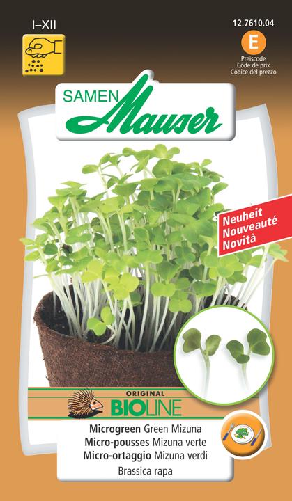 Produktbild Samen Mauser Green Mizuna (Keimlinge)