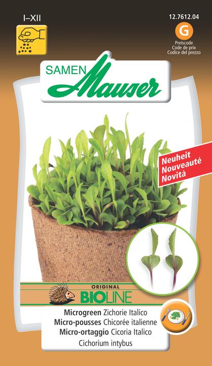 Actual product image Samen Mauser Microgreen Chicory Italico (Vegetable seeds)