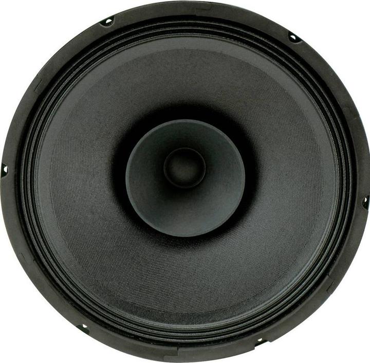 Actual product image Rockwood Blank PA Bass Fullrange 300 mm Guitar Speaker (1 pcs.)