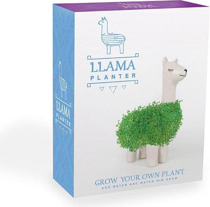 Actual product image Gift Republic Chia Plant Llama