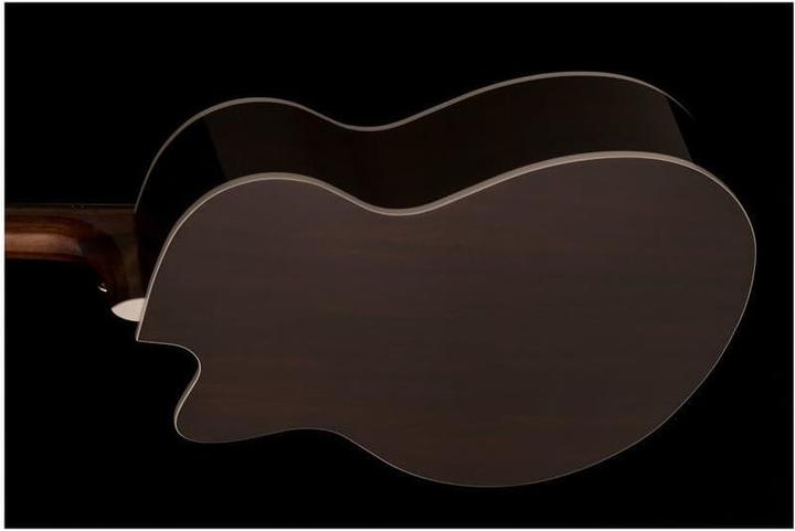 Immagine prodotto PRS Se A40e (Chitarra semi acustica, Mogano, Peccio, Ovangkol)