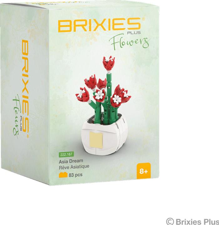 Actual product image Brixies Plus Mini Blume Asia Dream