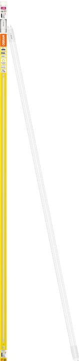 Actual product image Osram Led Tube (G13, 2550 lm, 1x)