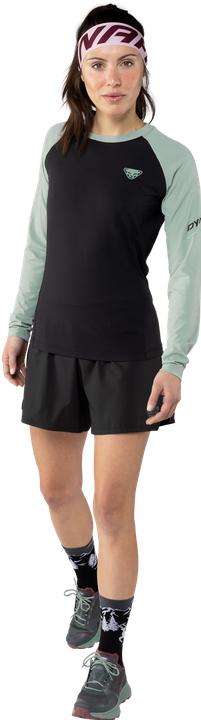 Immagine prodotto Dynafit Camicia Alpine Pro a maniche lunghe (40, 46)