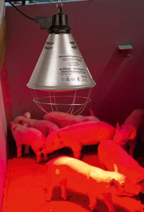 Actual product image Kerbl Infrared radiant warmer for piglets / chicks (without lamp, aluminium shade? 21 cm, cable 2.5 m