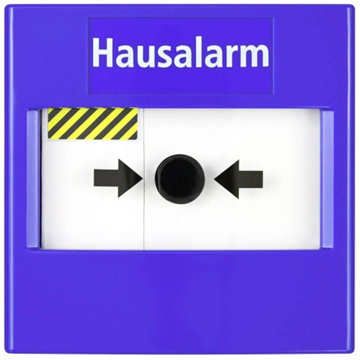 Actual product image Pentatech Push button alarm blue, inscription "House alarm