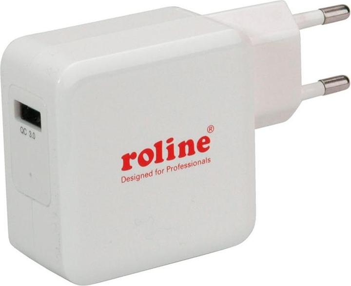 Actual product image Roline 19111024 (24 W)