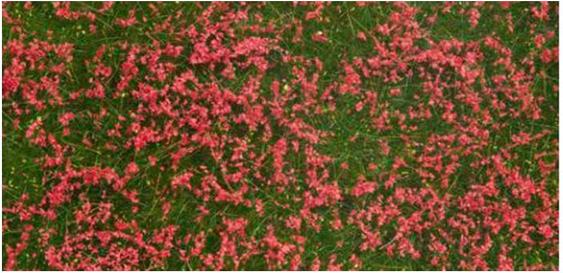 Immagine prodotto Noch Prato