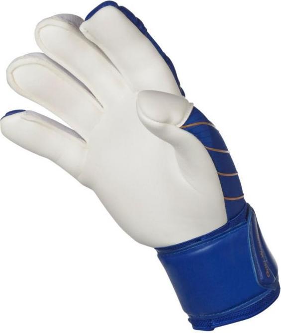 Produktbild Select 55 Extra Force Torwarthandschuhe