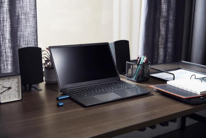 Image du produit Kingston IronKey Vault Privacy 50C (256 Go, USB-C)