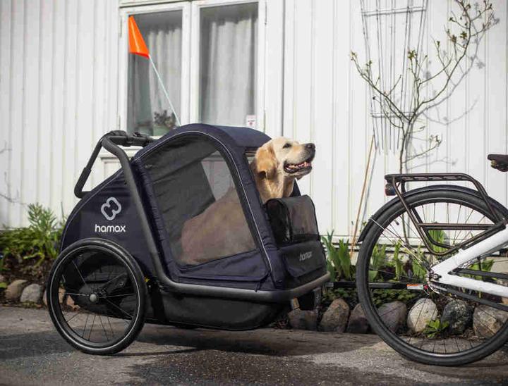 Actual product image hamax Pluto L