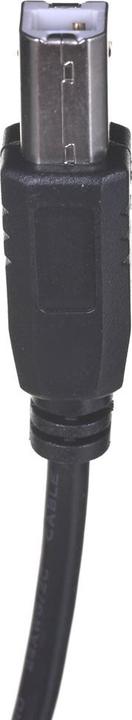 Image du produit Lanberg USB type C - USB B (1.80 m, USB 2.0)