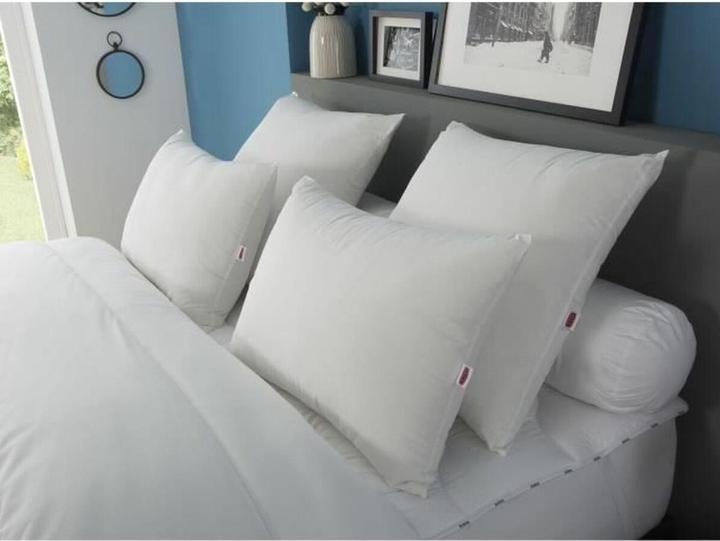 Immagine prodotto Dodo Cuscino 60 x 60 cm (60 x 60 cm)