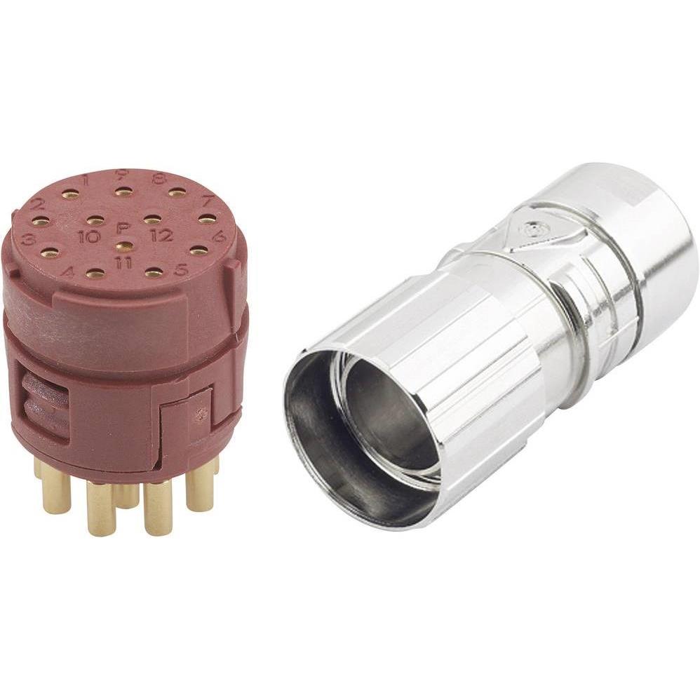 Lapp EPIC Steckverbinder M23 12pol, Elektronikkabel + Stecker, Mehrfarbig