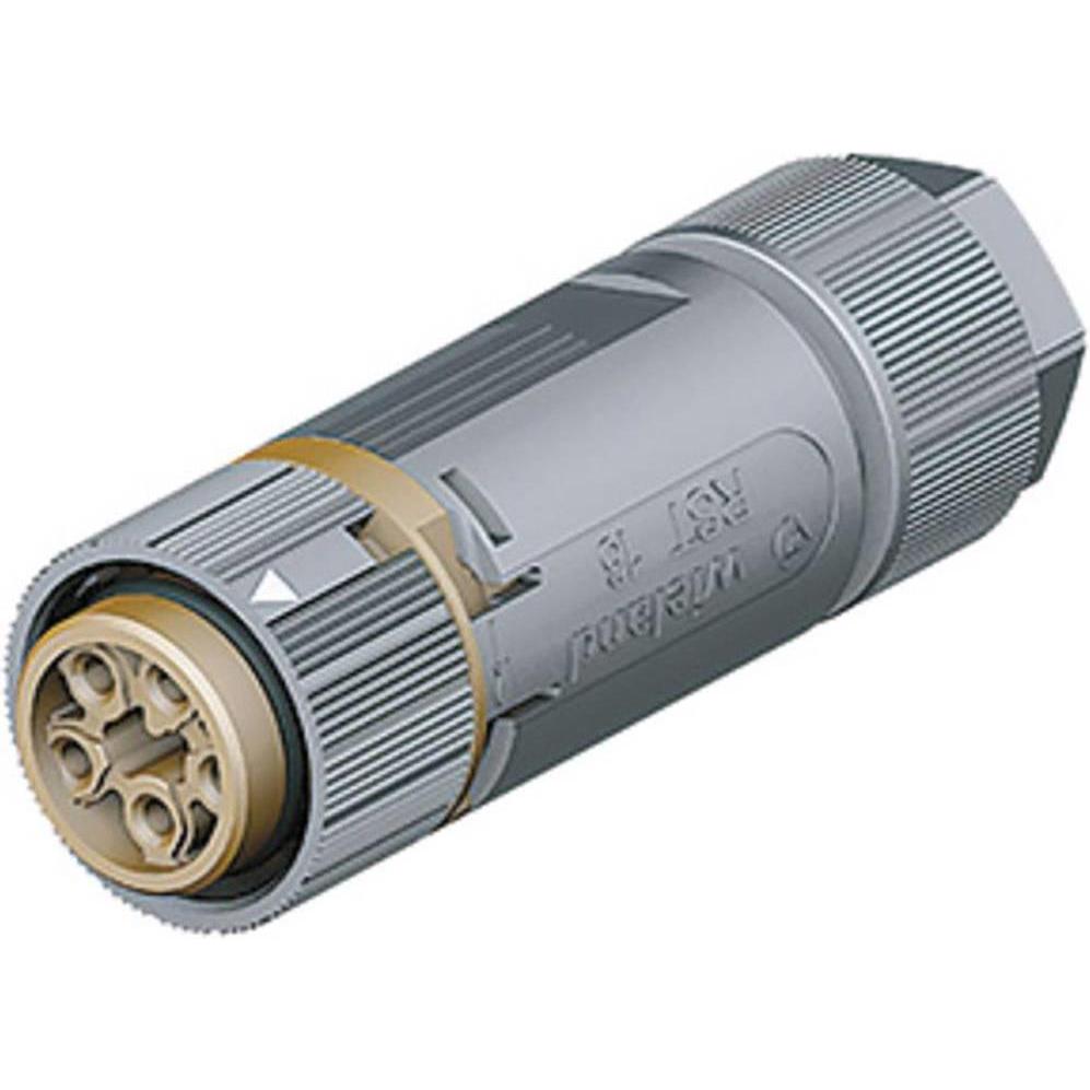 Wieland RST MINI Kabeldose RSTI164/5, Elektronikkabel + Stecker, Braun