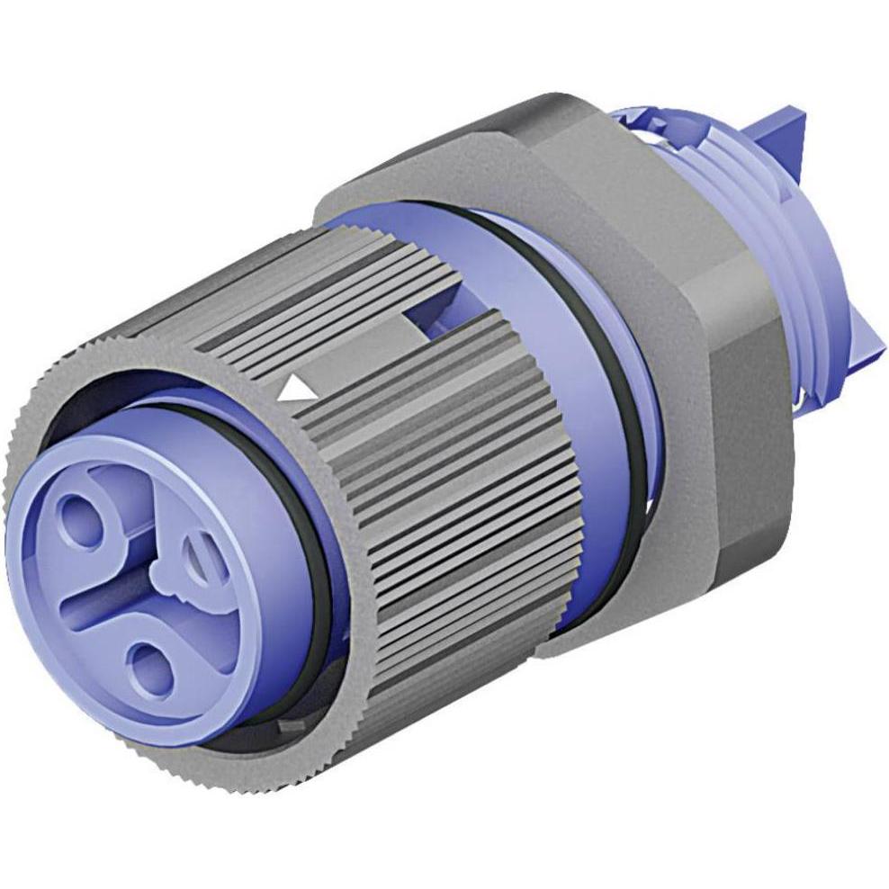 Wieland RST MINI Einbausbuchse RSTI16, Elektronikkabel + Stecker, Blau