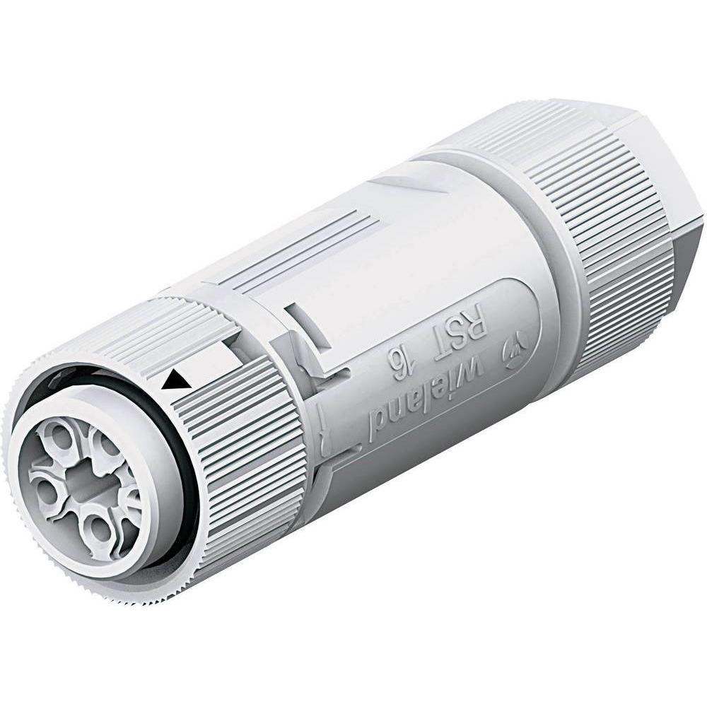 Wieland RST MINI Kabeldose RSTI164/5, Elektronikkabel + Stecker, Grau