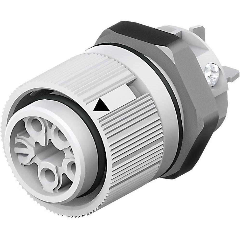 Wieland RST MINI Einbausbuchse RSTI16, Elektronikkabel + Stecker, Grau