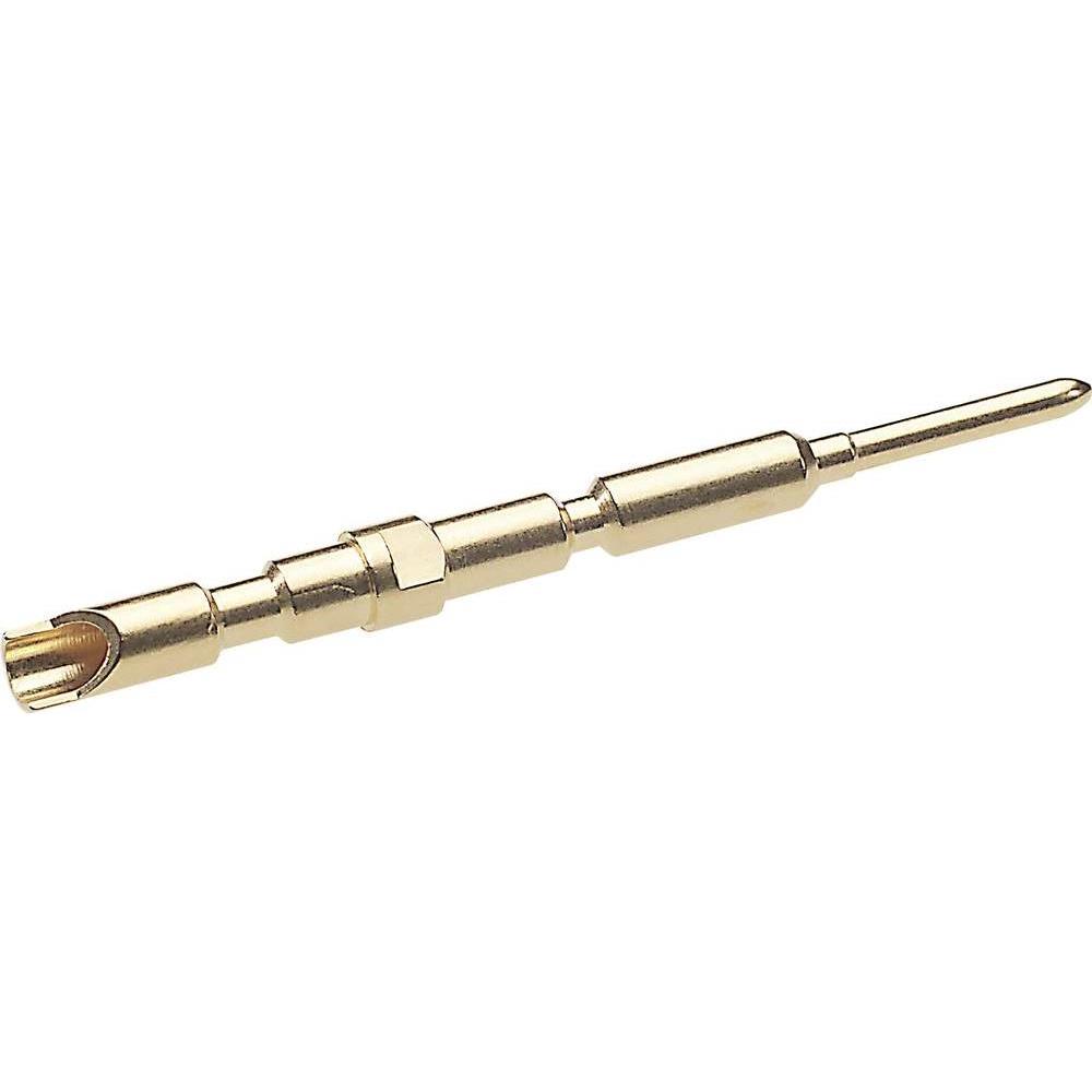 Lapp EPIC SIGNAL M23 contatto pin, Cavo + Spina elettrica