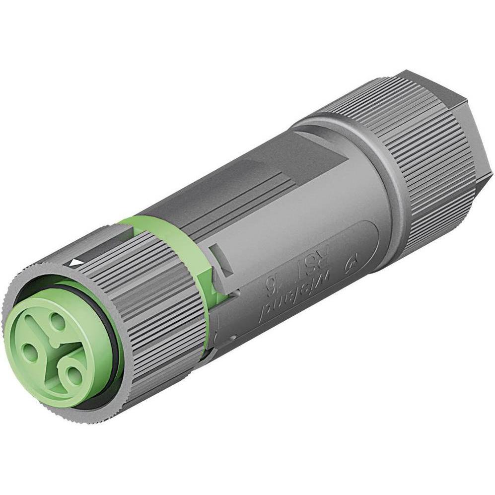 Wieland RST MINI Kabeldose RSTI162/3, Elektronikkabel + Stecker, Grün