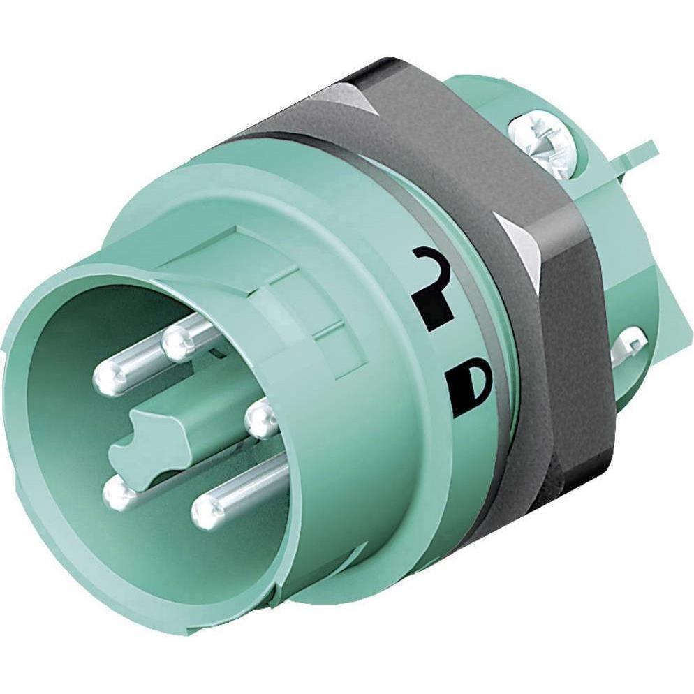 Wieland RST MINI Einbaustecker RSTI16, Elektronikkabel + Stecker, Blau