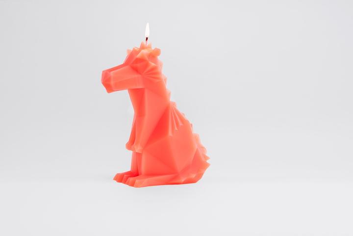 Produktbild 54Celsius PyroPet Dreki