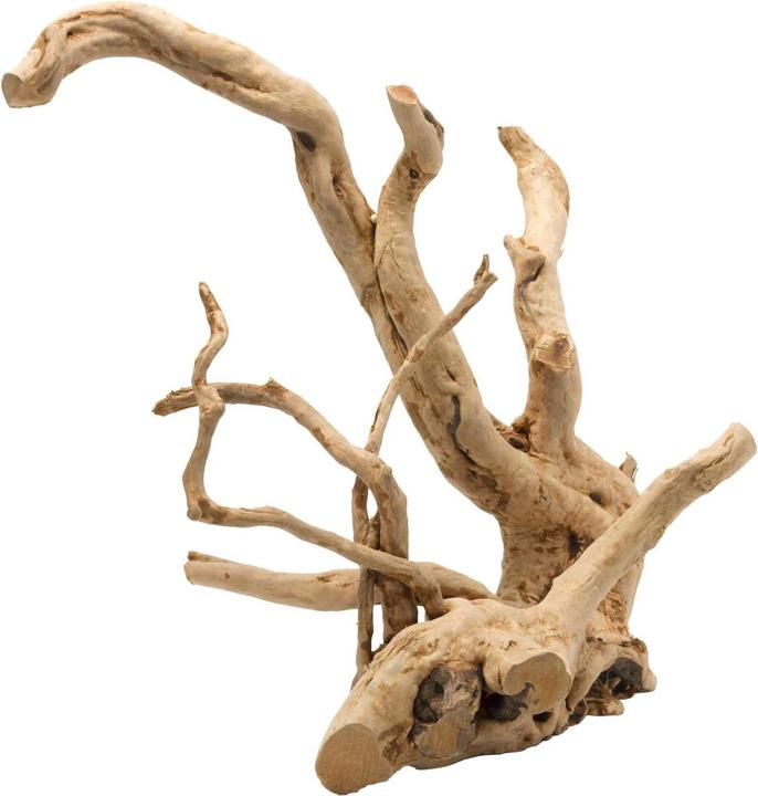 EBI Aqua Della Driftwood Polished L (sonstige Gegenstände)