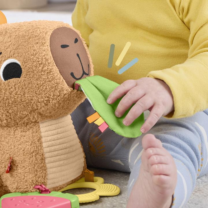 Produktbild Fisher-Price Kuschel-Capybara (23.50 cm)
